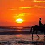 Rudi_Kottmann_Pferde am Strand