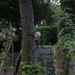 IMG_5619