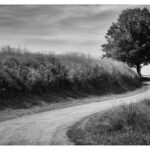 Der Weg-